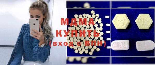 индика Горняк