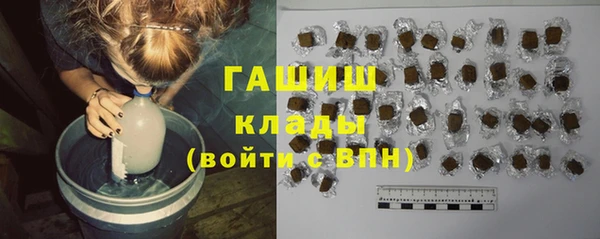 индика Горняк