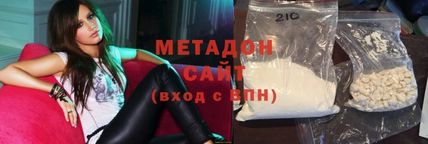 индика Горняк