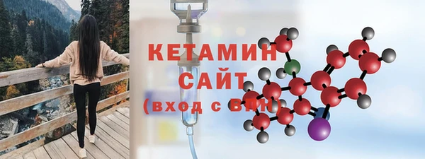 индика Горняк