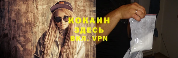 индика Горняк