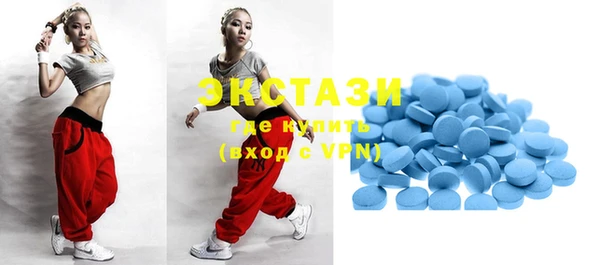 индика Горняк