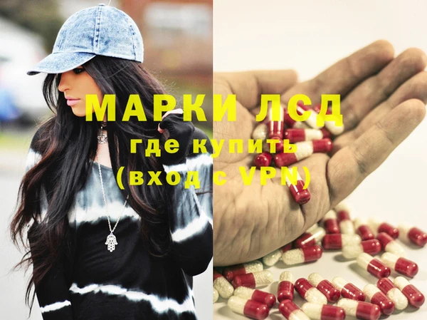 индика Горняк