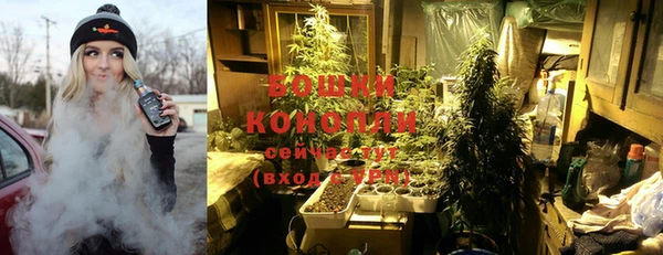индика Горняк