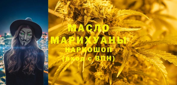 индика Горняк