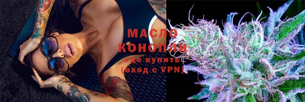 индика Горняк