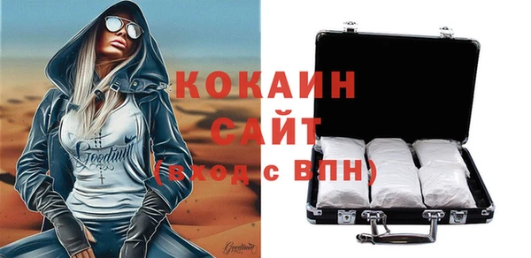 индика Горняк