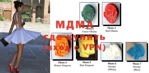 индика Горняк