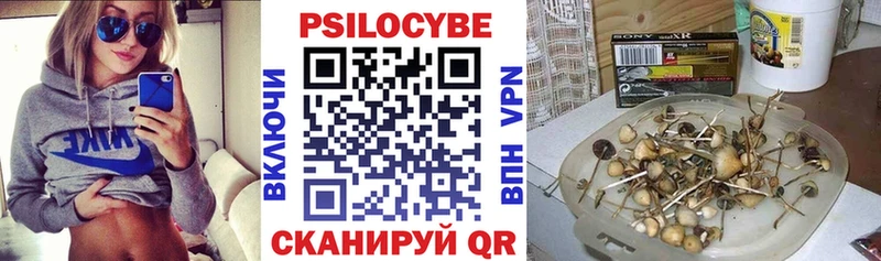 Купить где  Нальчик  Псилоцибиновые грибы мицелий 